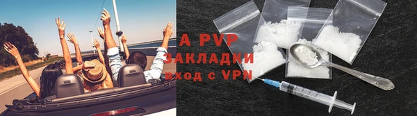 твердый Аркадак