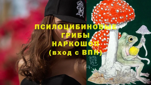твердый Аркадак