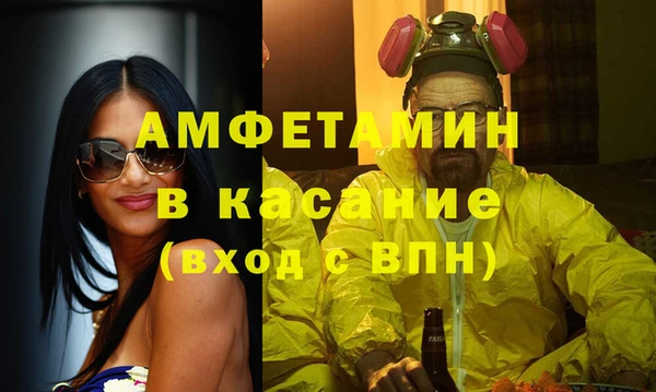 твердый Аркадак